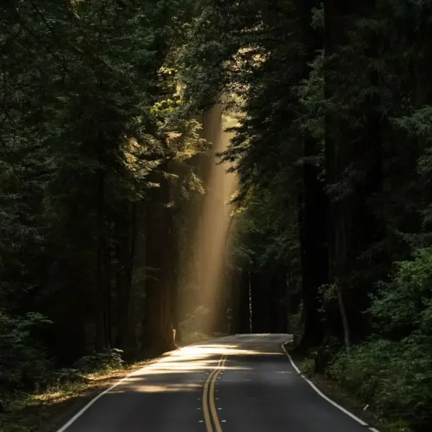 na-estrada-da-vida