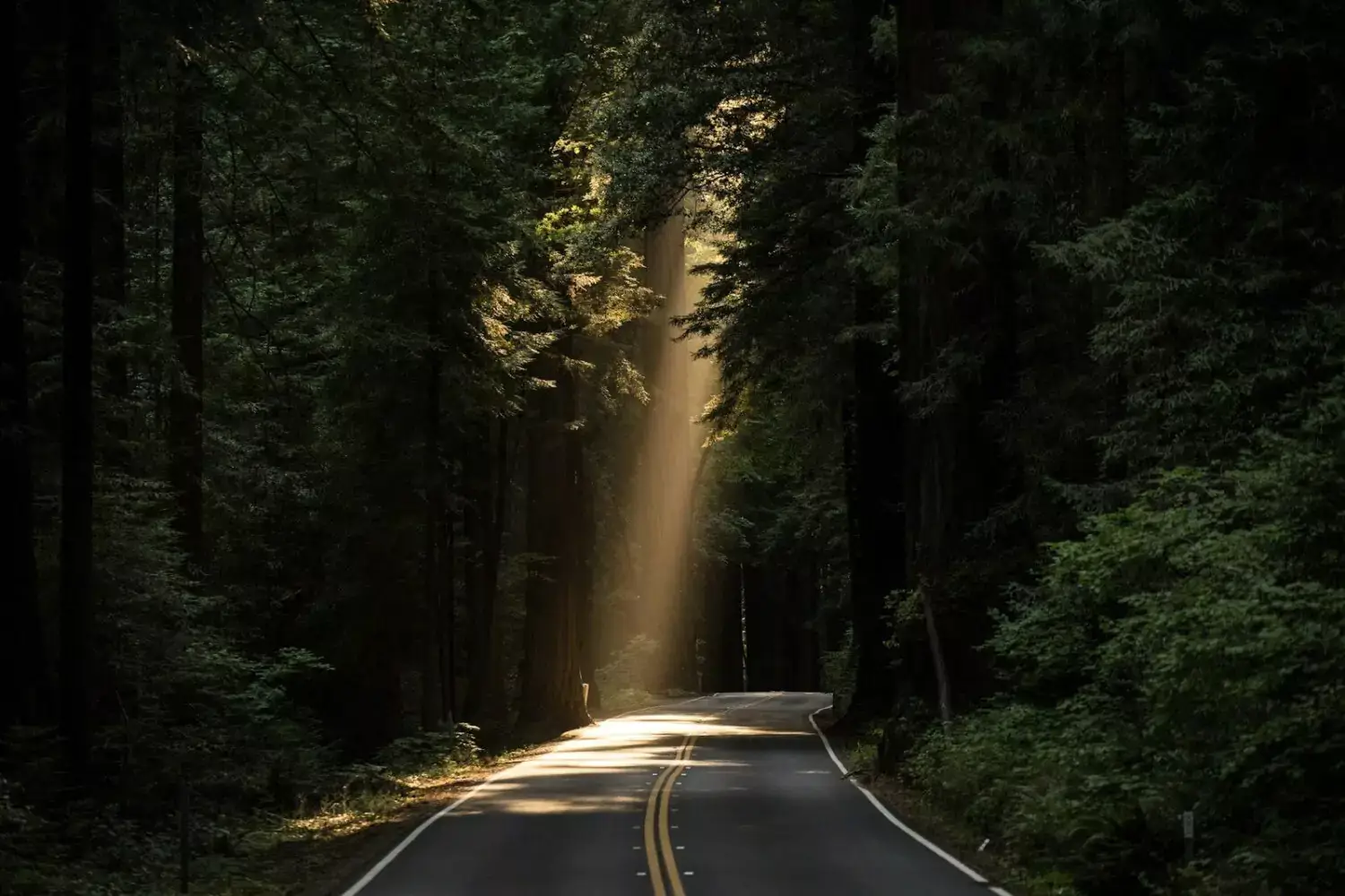 na-estrada-da-vida